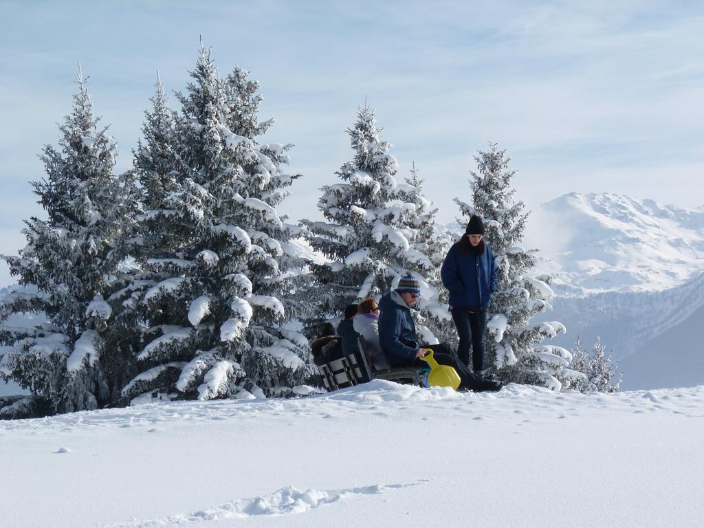 Chalet Des Alpes Bed & Breakfast Crans-Montana Dış mekan fotoğraf