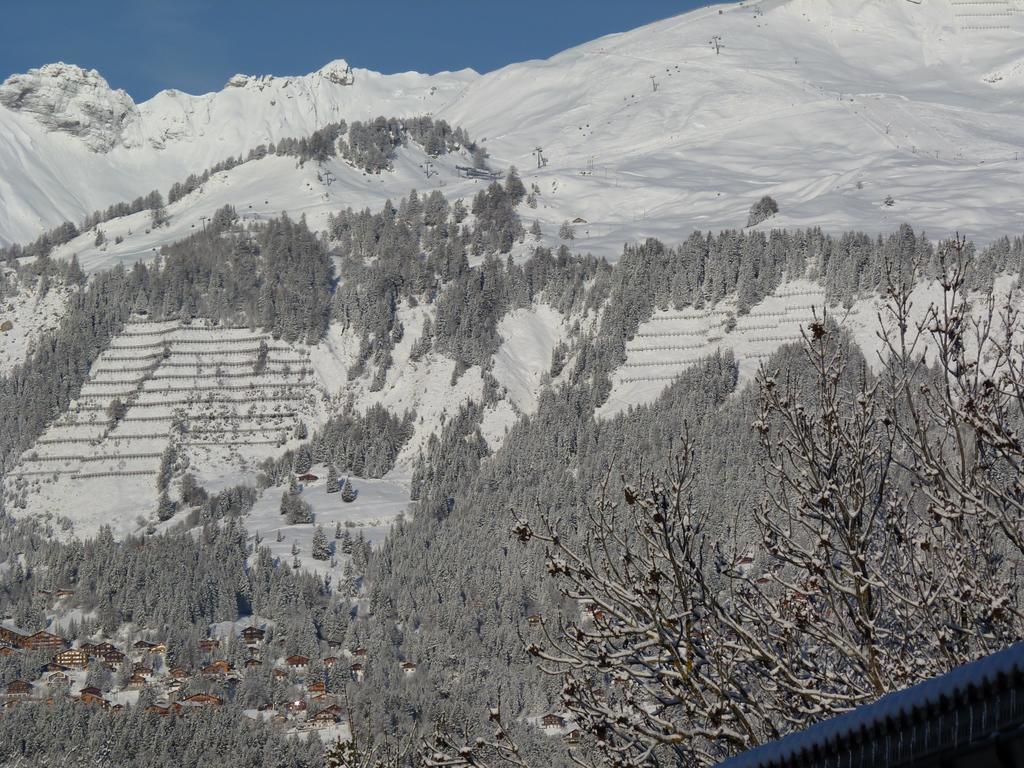 Chalet Des Alpes Bed & Breakfast Crans-Montana Dış mekan fotoğraf