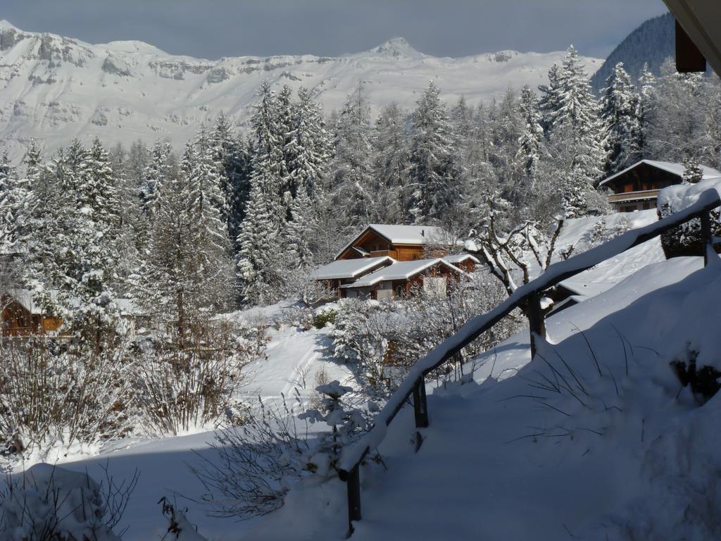 Chalet Des Alpes Bed & Breakfast Crans-Montana Dış mekan fotoğraf