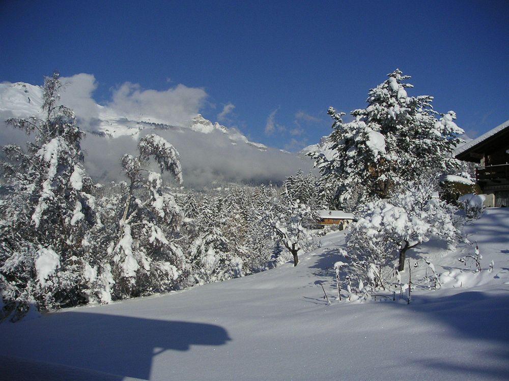 Chalet Des Alpes Bed & Breakfast Crans-Montana Dış mekan fotoğraf