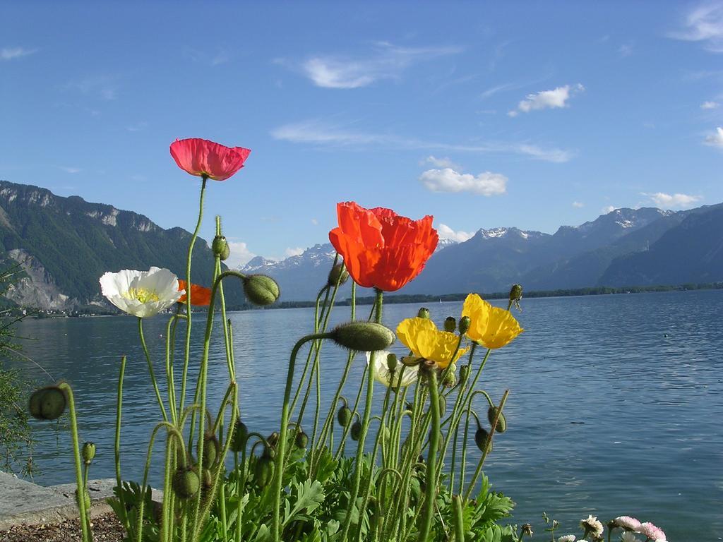 Chalet Des Alpes Bed & Breakfast Crans-Montana Dış mekan fotoğraf