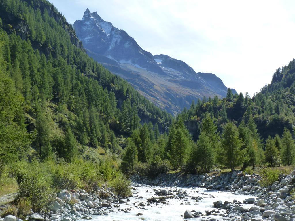 Chalet Des Alpes Bed & Breakfast Crans-Montana Dış mekan fotoğraf