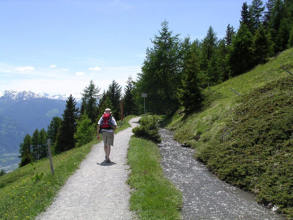 Chalet Des Alpes Bed & Breakfast Crans-Montana Dış mekan fotoğraf