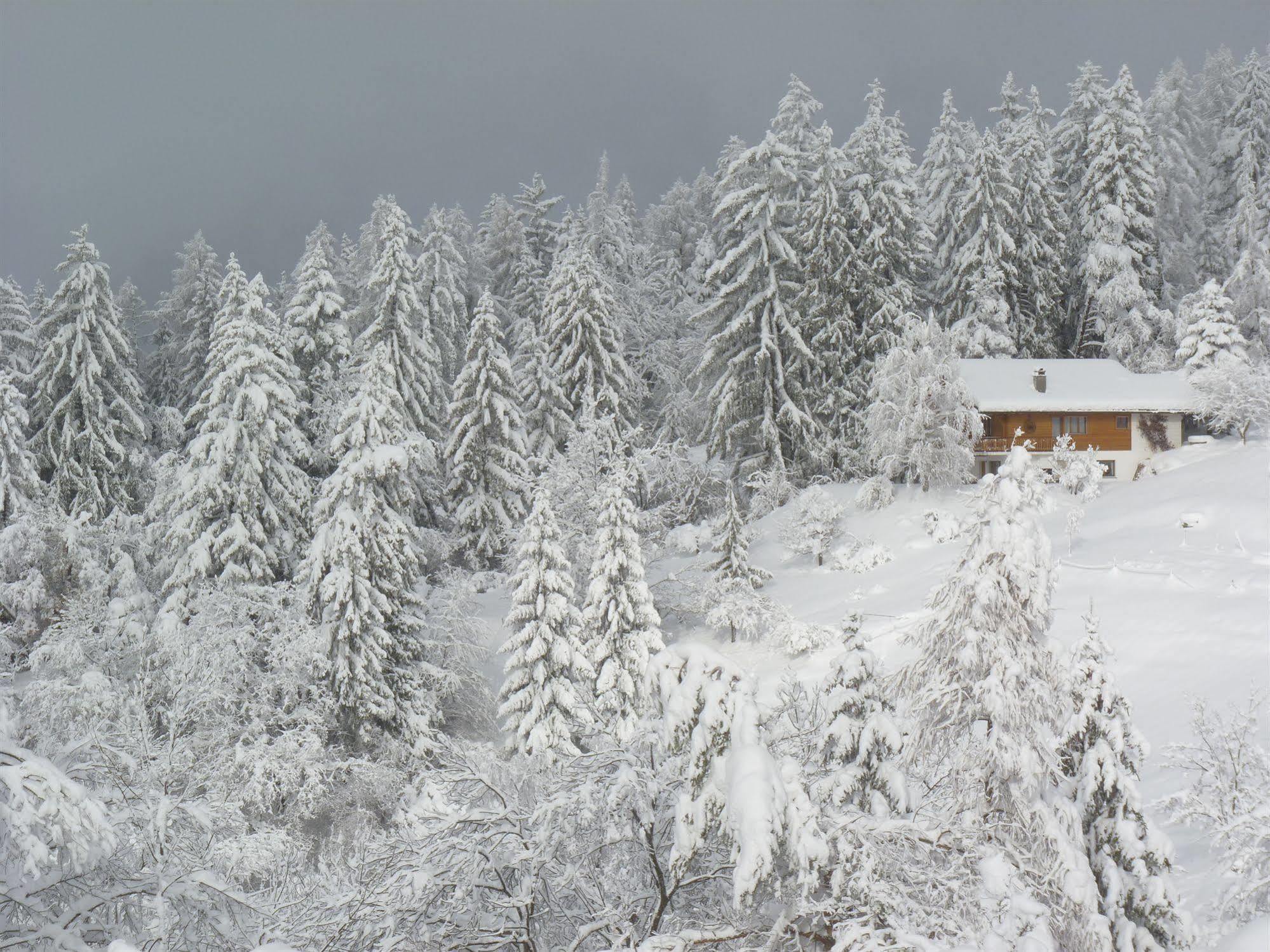 Chalet Des Alpes Bed & Breakfast Crans-Montana Dış mekan fotoğraf